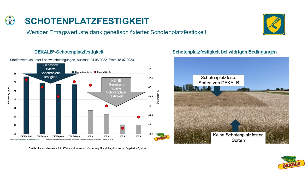 Schotzenplatzfestigkeit.jpg