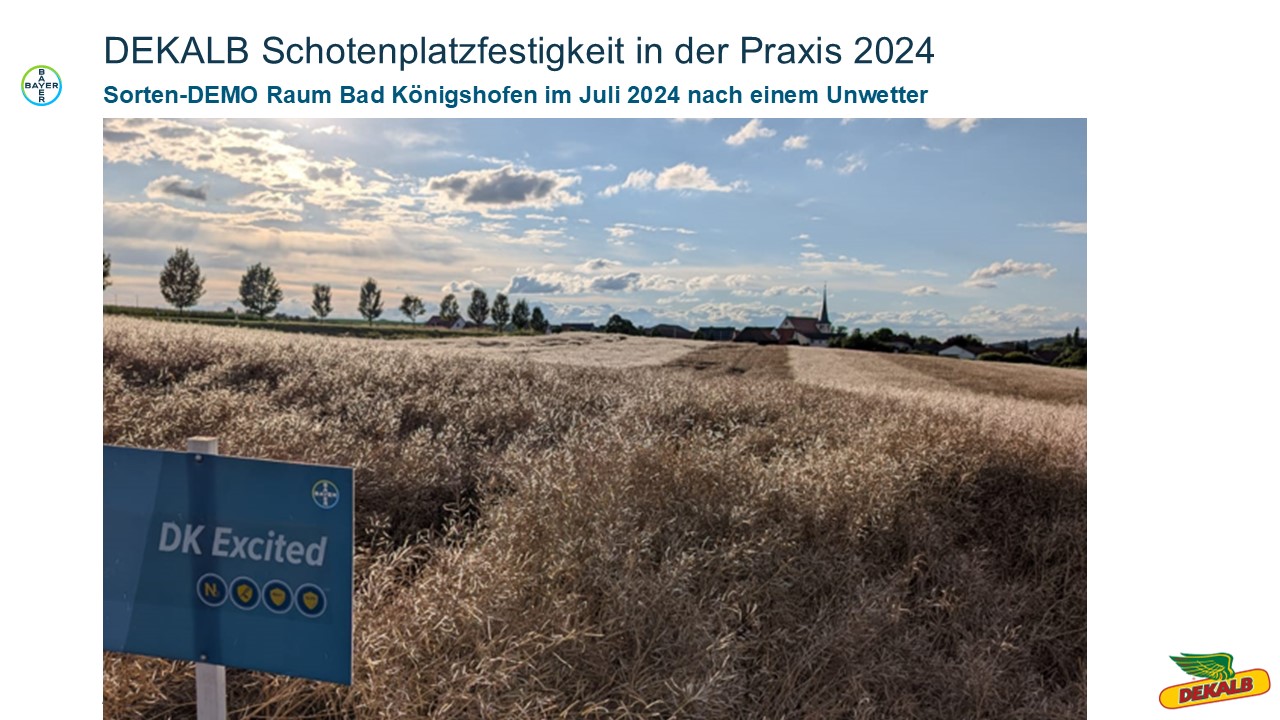 Schotzenplatzfestigkeit in der Praxis.jpg