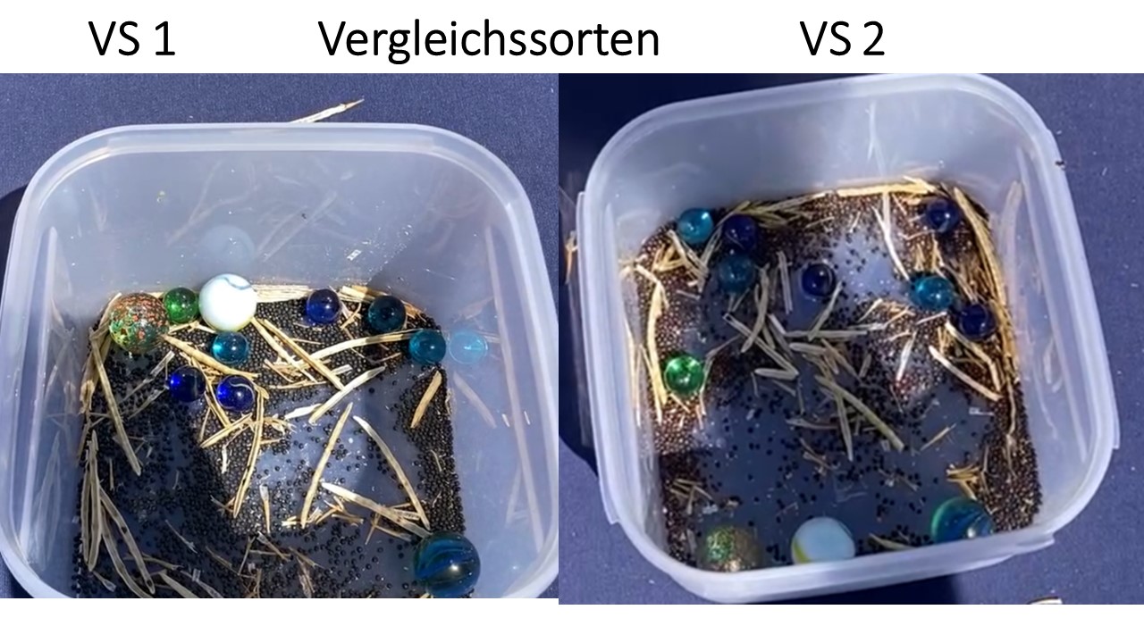 Vergleichssorten.jpg