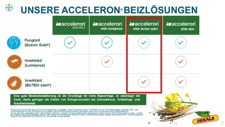 Beizlösung.jpg