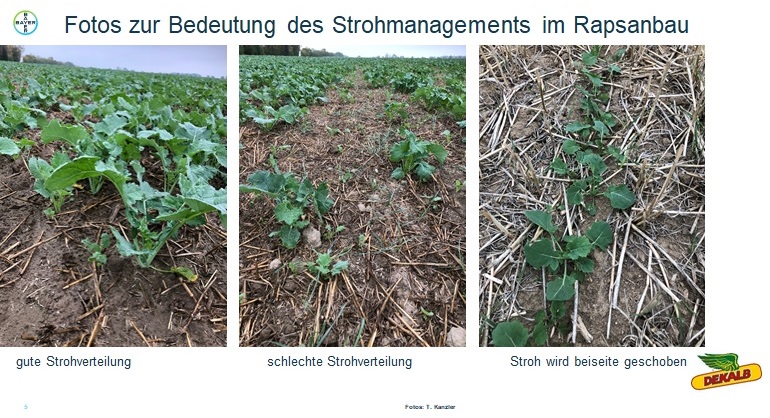 Fotos Stroh.jpg