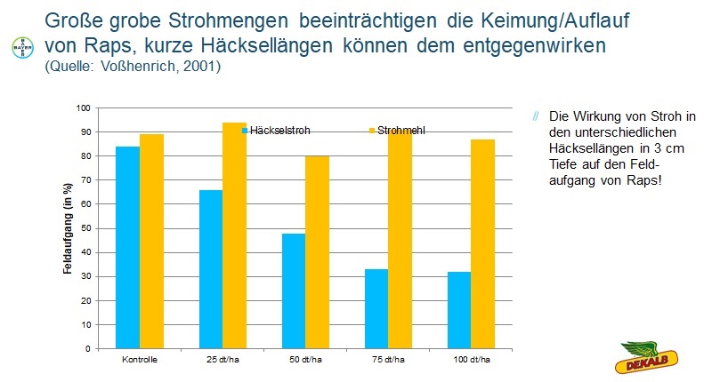 Stroh und Feldaufgang.jpg